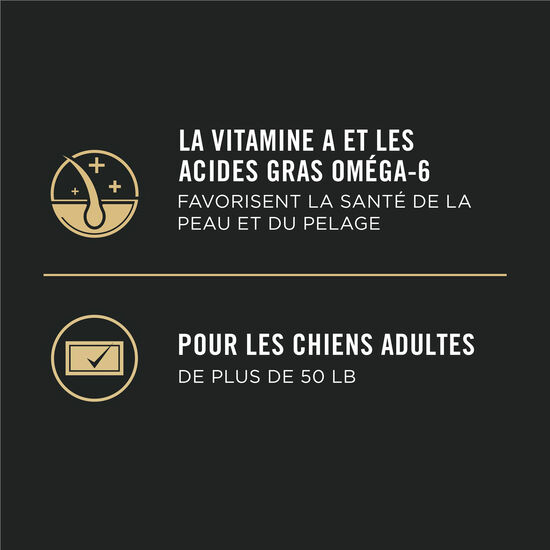 Nourriture s&egrave;che formule poulet et riz pour chiens adultes de grandes races, 21,3 kg Image NaN