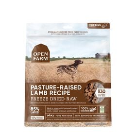 Pasture-raised lamb freeze dried raw dog food