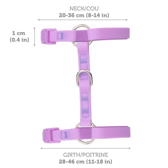 Ensemble harnais et laisse en silicone pour chats, Orchidee Image NaN