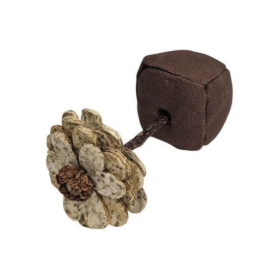 Paper Catnip Flower Toy, Sunflowe Image NaN