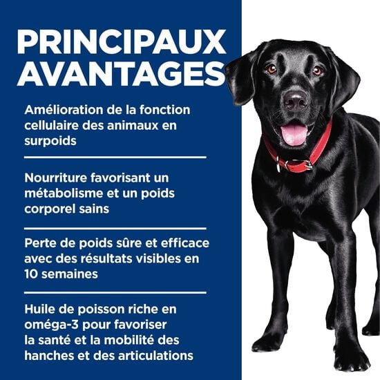 Nourriture sèche « Perfect Weight & Joint Support » au poulet pour chiens adultes de grandes races, 11,34 kg Image NaN