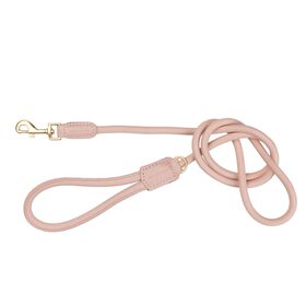 Laisse FuzzYard Life Atelier pour chiens, rose p&acirc;le