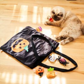 Ensemble chasse aux bonbons pour chats