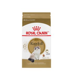 Food for Ragdoll adult cats