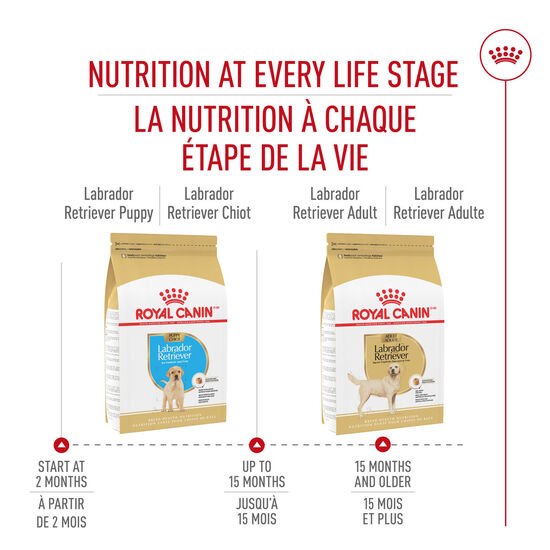 Breed Health Nutrition® Labrador Retriever Puppy Dry Food Image NaN