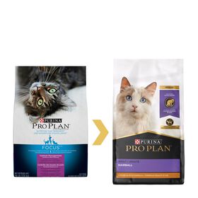 Adult hairball management chicken & rice dry cat food