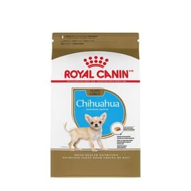 Nourriture sèche pour chiots Chihuahua
