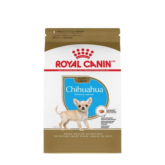 Nourriture sèche pour chiots Chihuahua Image NaN