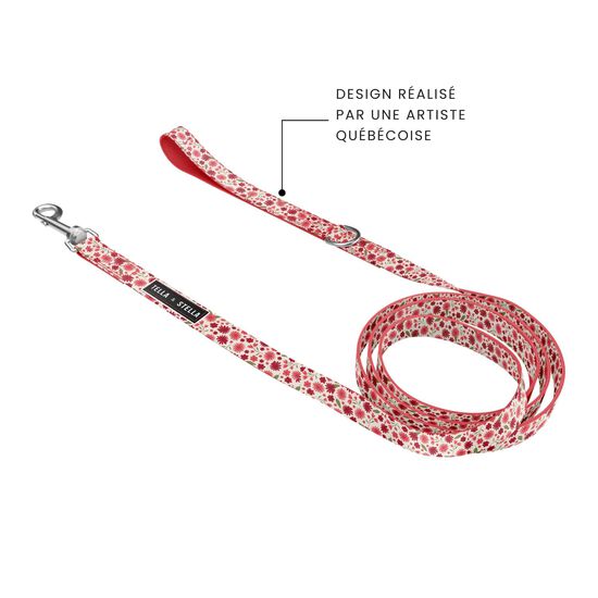 Dog Leash Image NaN