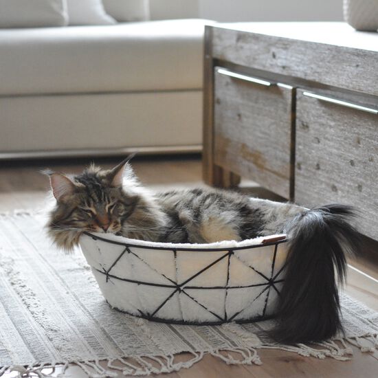 Cat Metal Basket Image NaN