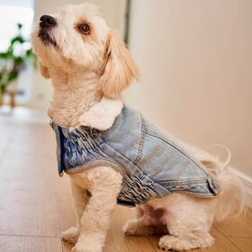 Elasto-fit&reg; Northside Denim Jacket for Dogs, Light Wash