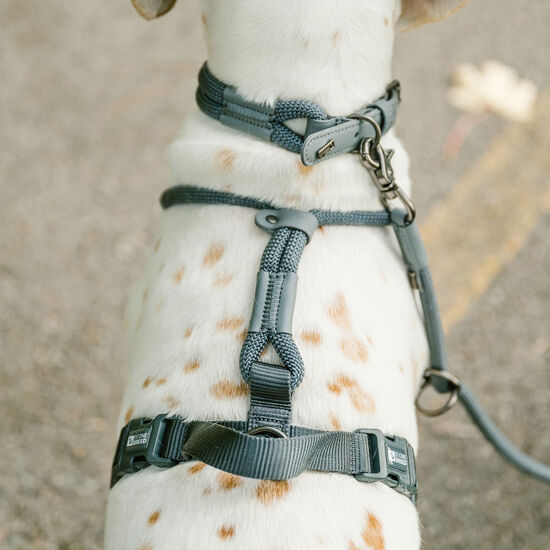 Luxury Rope Harness for Dogs, Charcoal Image NaN