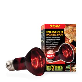 Ampoule à infrarouge pour lézarder R20 75W