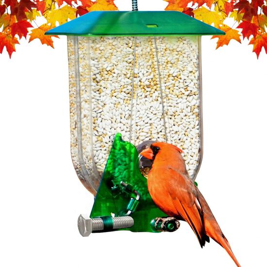 Unique cardinal feeder Image NaN