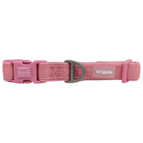 Collier en neoprene pour chiens, Gomme balloune