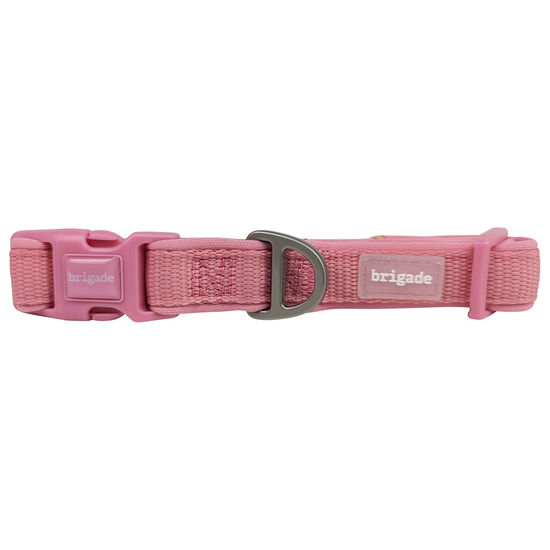 Collier en neoprene pour chiens, Gomme balloune Image NaN