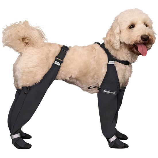 Reflective Suspender Boots for Dogs Image NaN