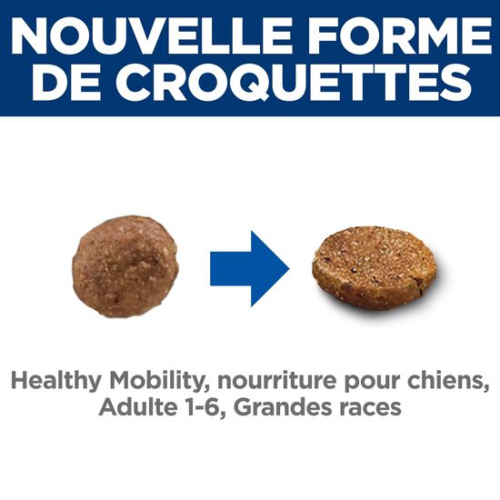 Adult Healthy Mobility Large Breed Chicken Meal, Brown Rice & Barley Recipe Dry Dog Food,13.6 kg Image NaN