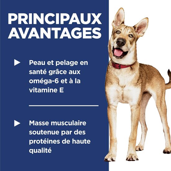 Nourriture sèche recette au saumon et au riz brun pour chiens adultes, 14,9 kg Image NaN