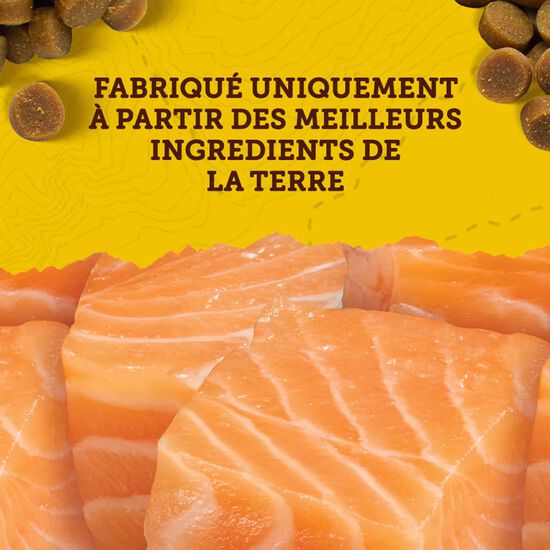 Mini Naturals Salmon Tender BitesTreats for Dogs, 454 g Image NaN