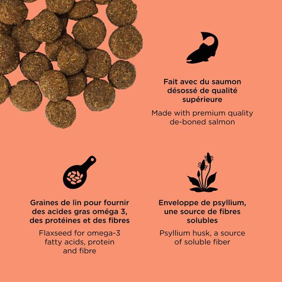 Nourriture sèche au saumon Weight Management + Joint Care pour chiens Image NaN