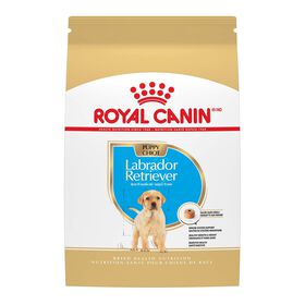 Nourriture s&egrave;che pour chiots de race Labrador Retriever