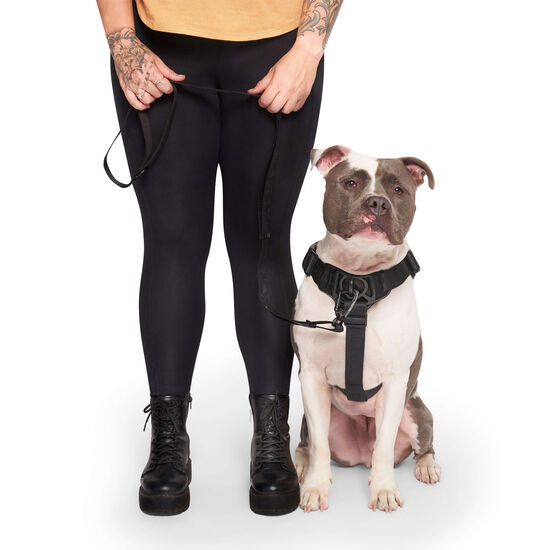 Harnais Complete Control pour chiens Image NaN