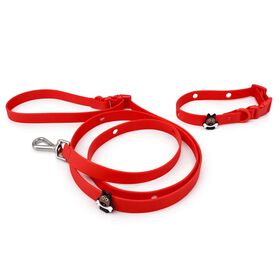 Ensemble collier et laisse en silicone pour chiens