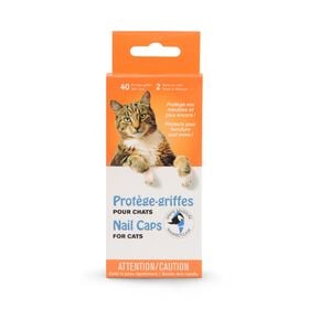 Protège-griffes pour chat, transparent
