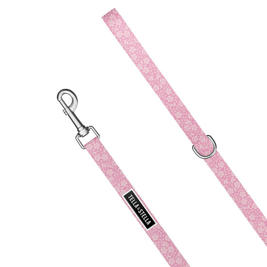 Dog Leash Image NaN
