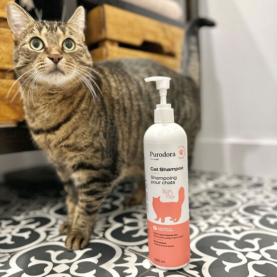 Cat Shampoo, 500 ml Image NaN