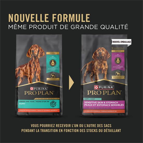 Nourriture s&egrave;che D&eacute;veloppement peaux et estomacs sensibles au saumon et riz pour chiots,  1,81 kg Image NaN