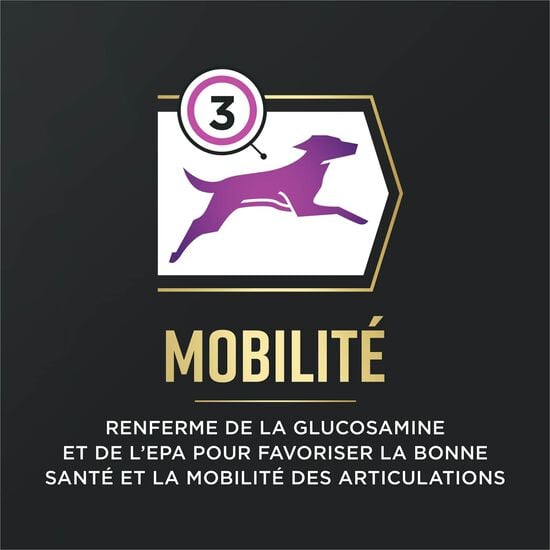 Nourriture s&egrave;che AdvantEDGE Soutien+ s&eacute;nior bouch&eacute;es &agrave; la viande au poulet et riz pour chiens, 10 kg Image NaN