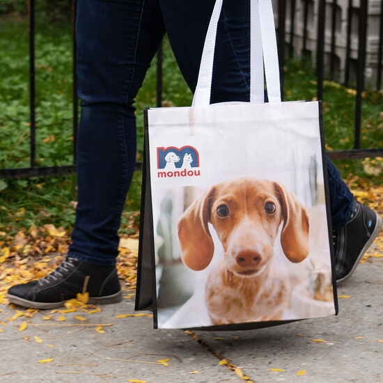 Grand sac r&eacute;utilisable rigide, chien Image NaN