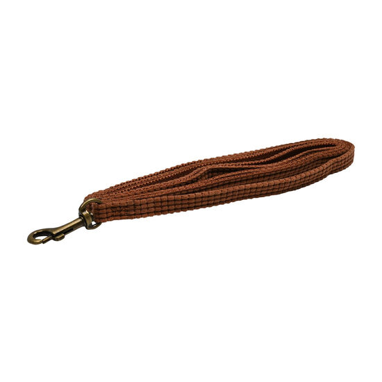 Corduroy Leash for Cats, Cognac Image NaN