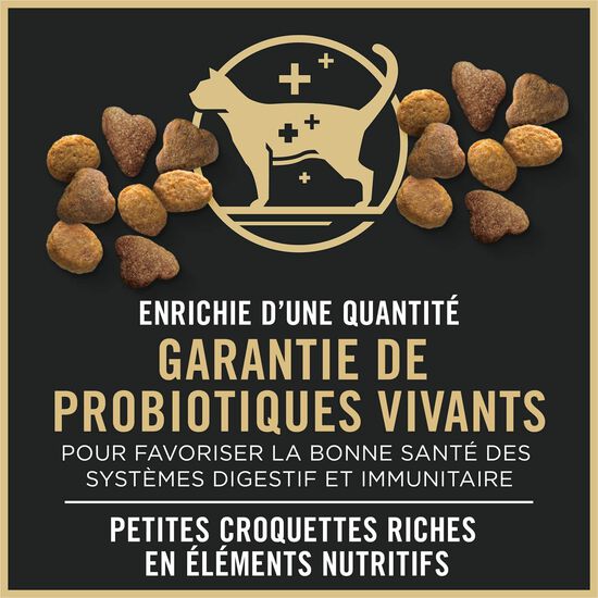 Nourriture s&egrave;che Complete Essentials Adulte 7+ formule poulet et riz pour chats, 6,35 kg Image NaN