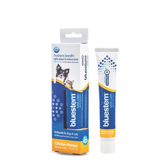 Toothpaste and Toothbrush for Dogs and Cats Image NaN