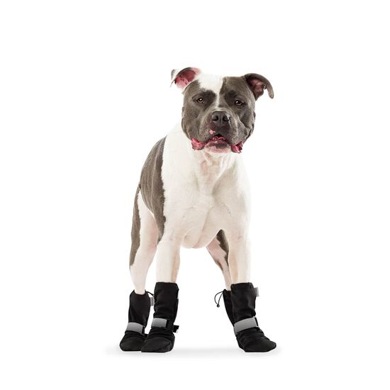 Bottes souples pour chiens Image NaN