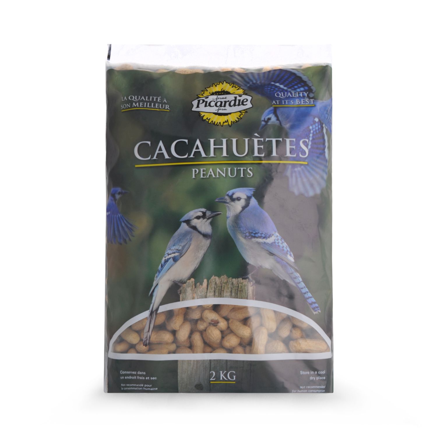 Peanuts with shells for wild birds Picardie | Mondou