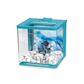 Aquarium équipé pour betta, bleu, 2,5 L