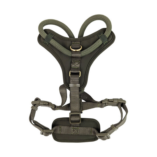 Harnais corde de luxe pour chiens, Olivine Image NaN