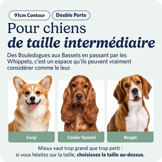 Two Door Folding Crate for Dogs Image 5.0