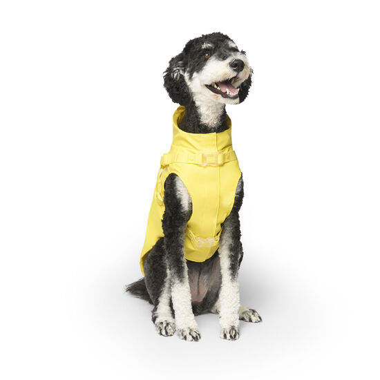 Imperméable avec harnais pour chiens Image NaN