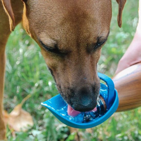 Travel Water Bowl, Blue Image NaN