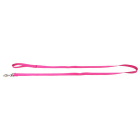 Nylon Leash for Dogs