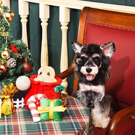 Jouet en peluche couineur sac-cadeau pour chiens