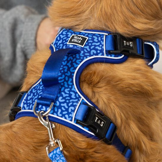 Harnais robuste avec poign&eacute;e pour chiens Image NaN