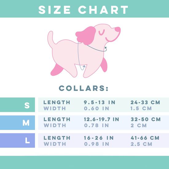 Disney's Rainbow Frenzy Walkie Pack for Dogs Image NaN