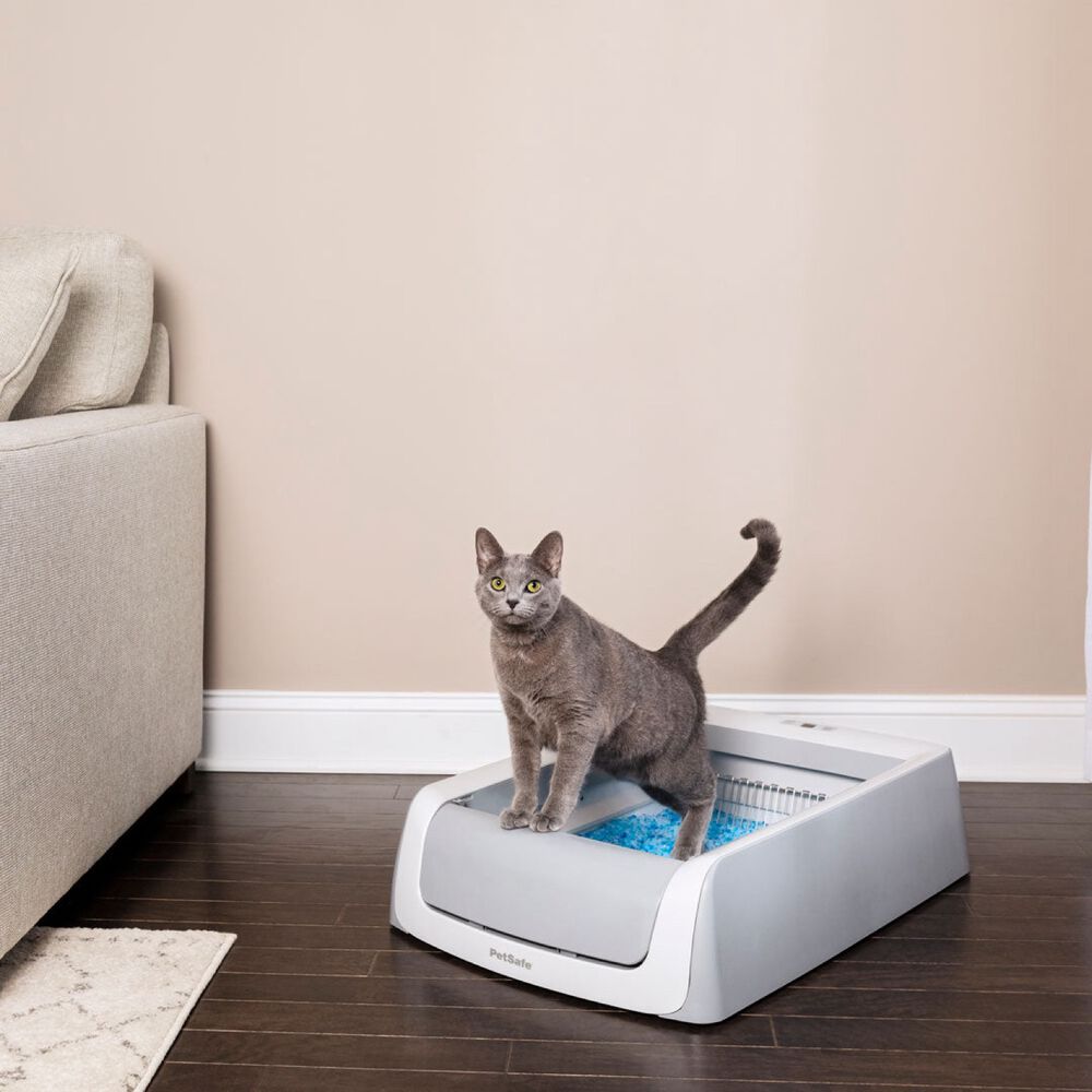 Bac à litière « ScoopFree® », deuxième génération