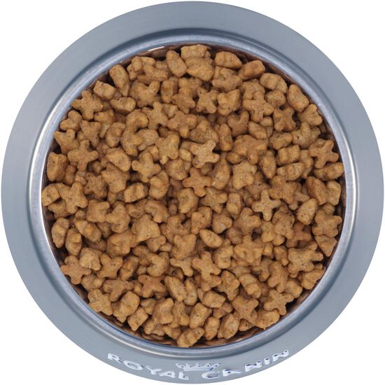 Feline Health Nutrition™ Kitten Spayed / Neutered Dry Cat Food Image NaN
